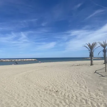 T2 Avec Terrasse, Parking, Proche Et Commerces - - Fr-1-782-40 * Le Barcares