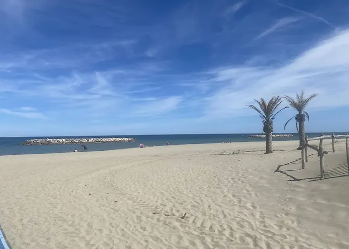 T2 Avec Terrasse, Parking, Proche Et Commerces - - Fr-1-782-40 * Le Barcarès
